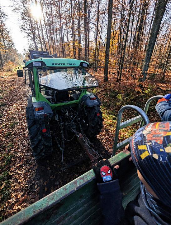 Bild: 20251129-171429.jpg